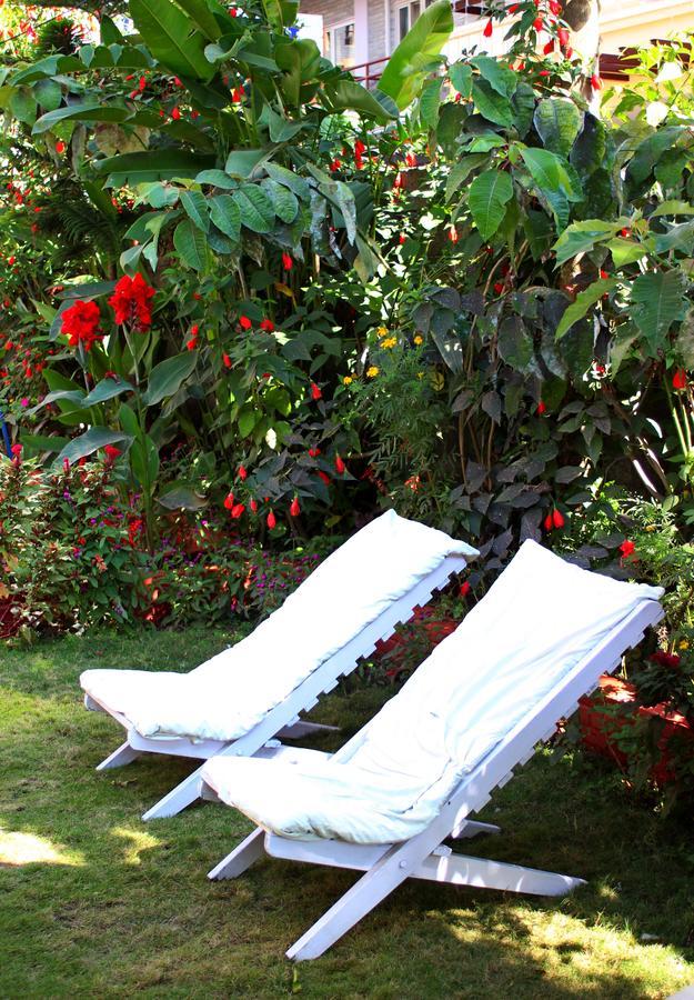 Hotel Angel Pokhara Ngoại thất bức ảnh