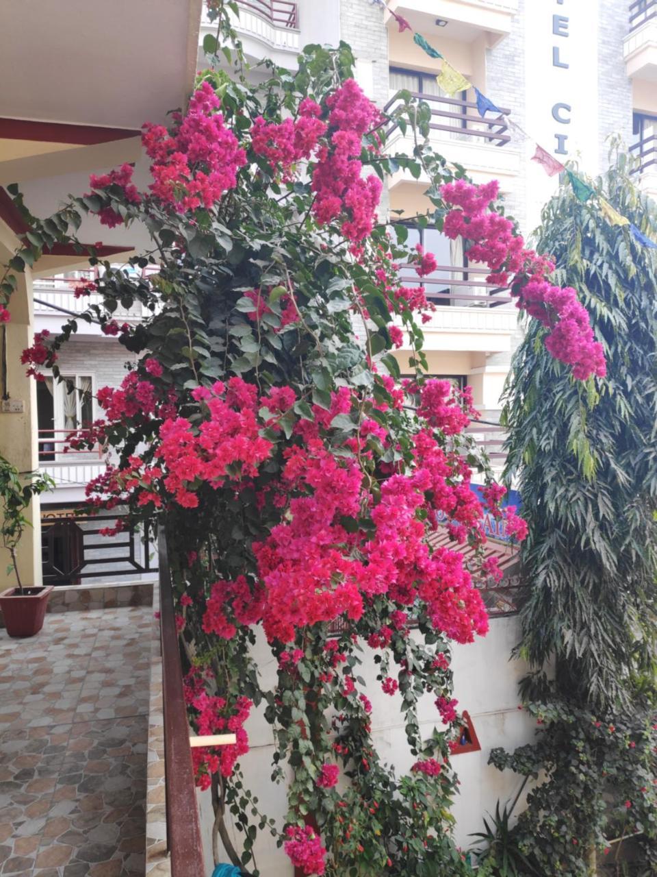 Hotel Angel Pokhara Ngoại thất bức ảnh
